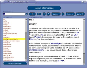 Screenshot de l\'interface graphique du Jargon Informatique